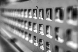 米兰登录入口-青少年运动损伤预防技术及实践研究，青少年运动损伤预防技术及实践研究论文