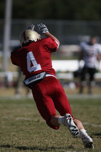 MILANSPORT入口-五大联赛体能瓶颈期球队是否更偏好长传进攻，体育瓶颈期是啥意思