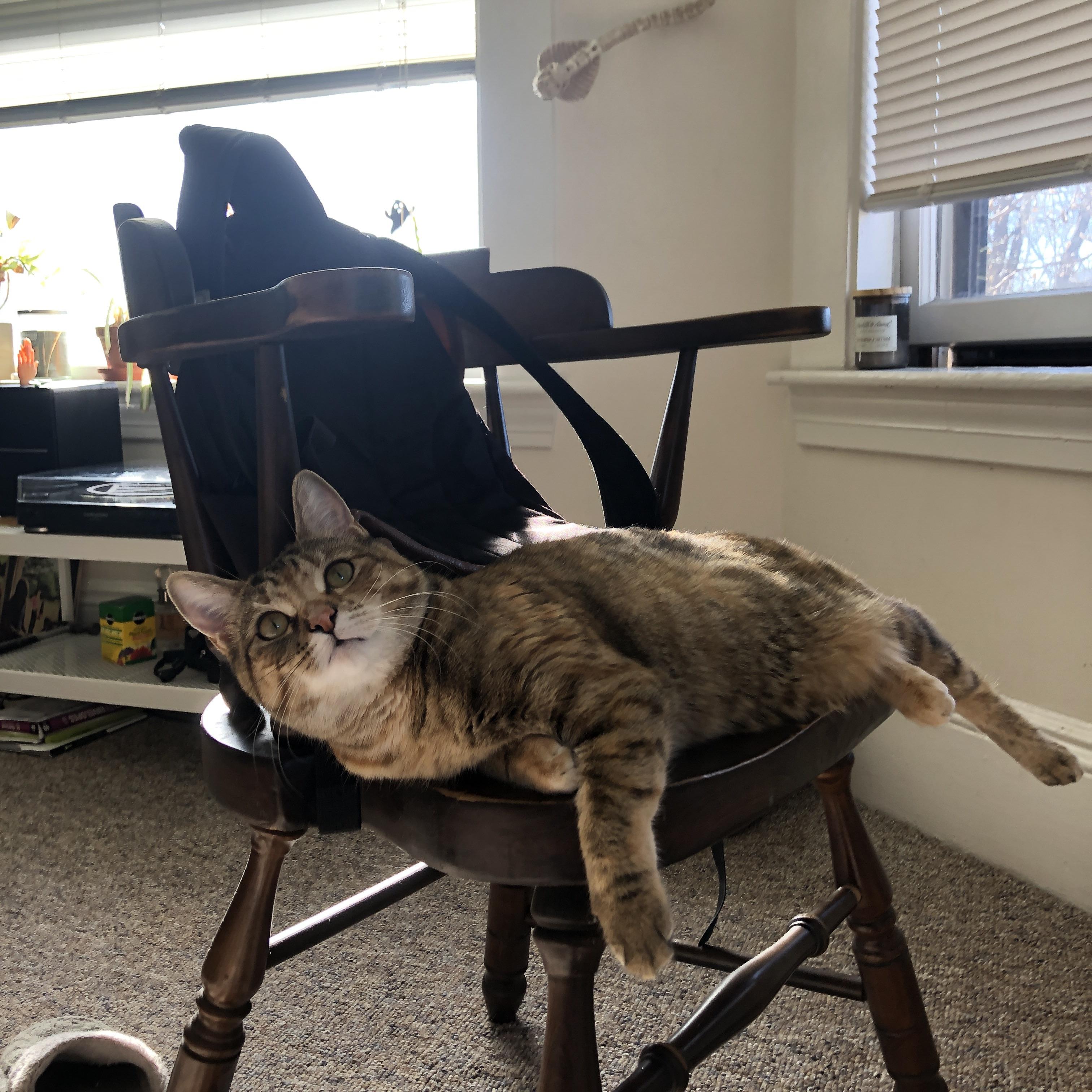 米兰体育-出发及转身速度提升显著影响成绩