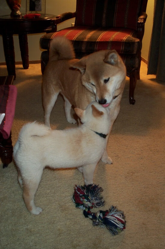 米兰体育APP-职业联赛赛后复盘机制流程不清，职业联赛靠什么赚钱