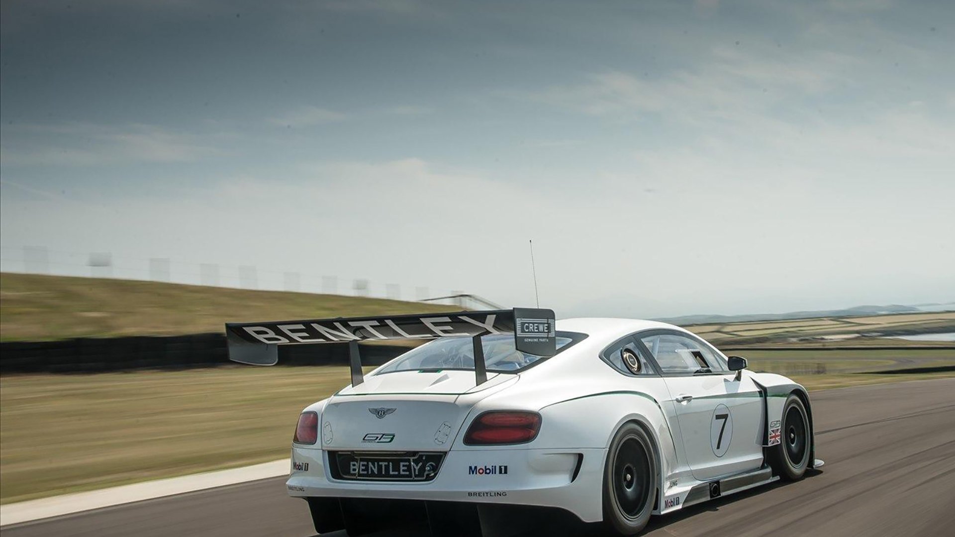 AC米兰-自由泳技术指标雷达图首次公开，自由泳专业术语