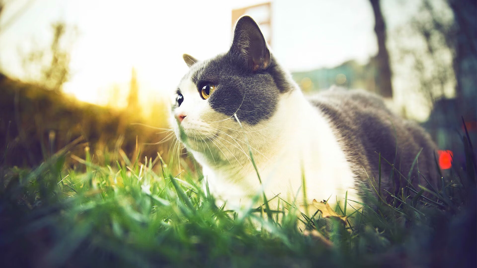 米兰登录入口-中国足球国家队重视球员饮食结构健康管理，足球球员伙食