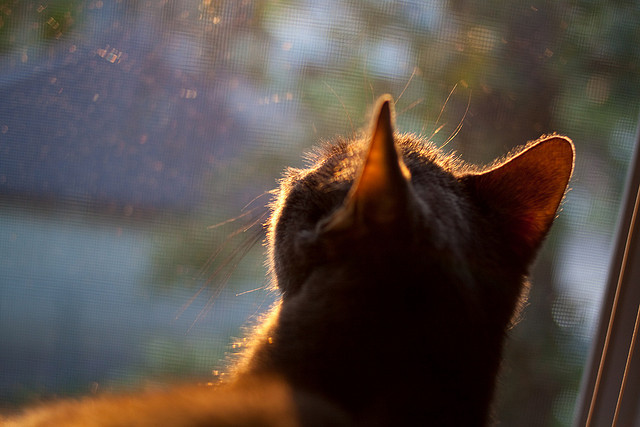 米兰体育官网-乌兰多蝶泳后程发力引关注