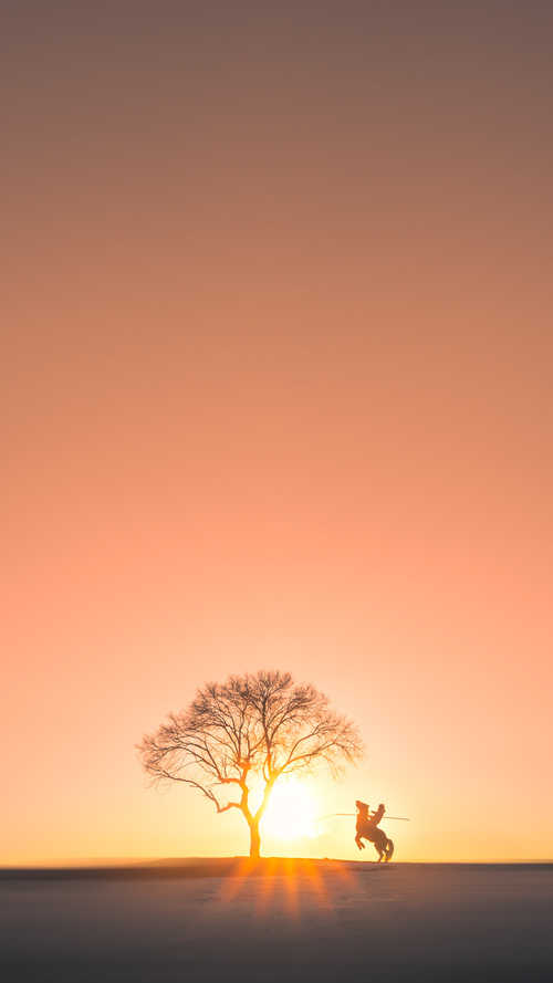 以足球运动为载体的全民健身工程持续推进,普及率提升,以足球运动为主题的绘画