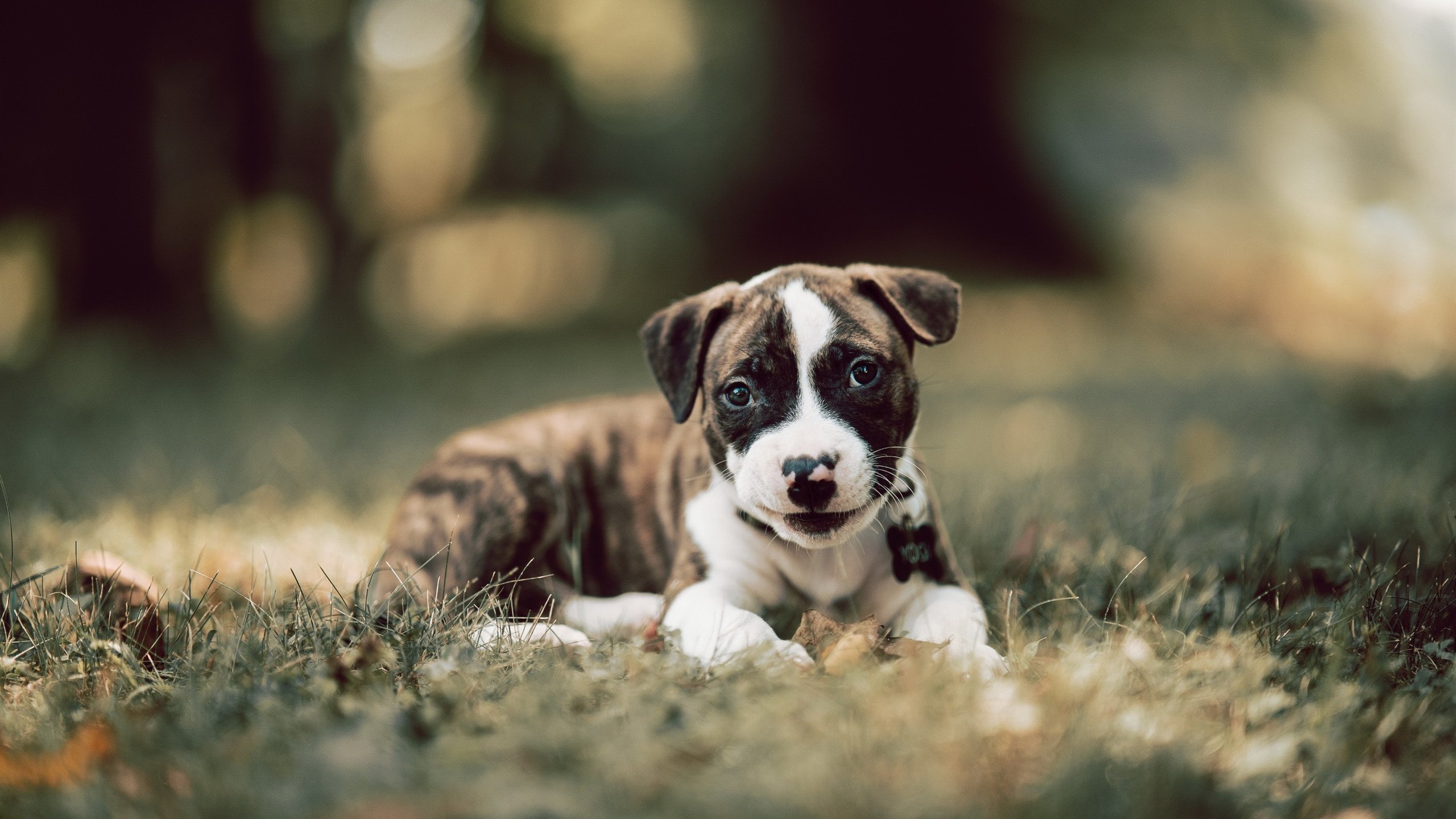 俱乐部文化衍生产品热销粉丝粘性增强形成良好商业生态,文化俱乐部是做什么的