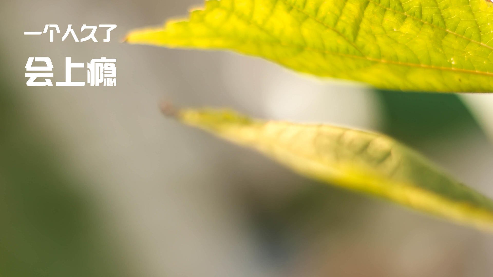 核心球员伤势无碍将按计划参与训练为下轮比赛做好准备,球场核心球员