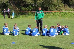 米兰体育-欧洲杯逆转奇迹：战术配合与个人能力的完美呈现，欧洲杯逆天进球