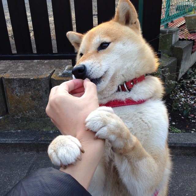 AC米兰-热火训练现场媒体开放吸引大量记者，热火媒体日