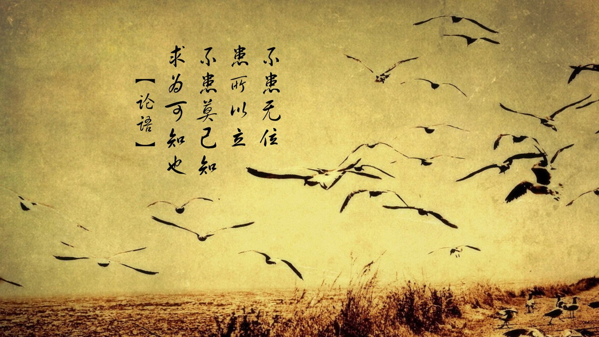 英超激烈冲刺:每一瞬都令人屏息!,英超有多激烈