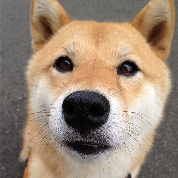 陈艺文笑对胜负展运动员风采,陈艺文教练是谁