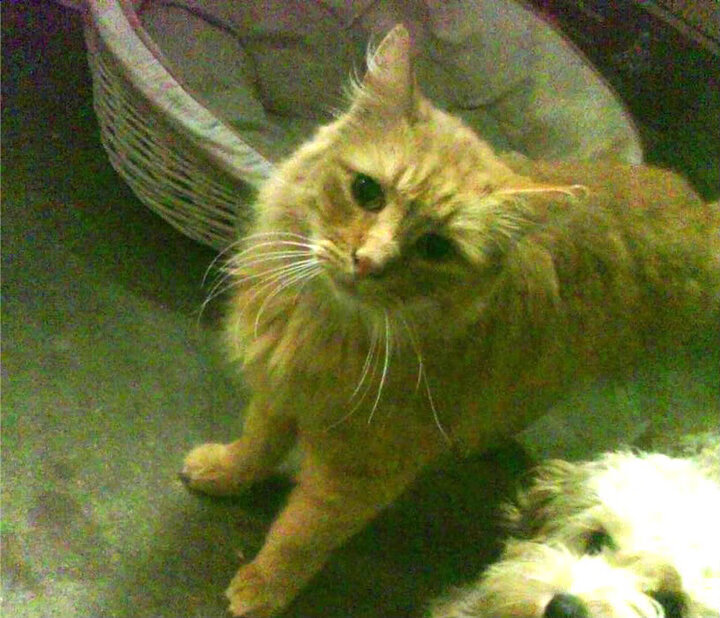 9月16-17日足球赛事全方位解析与预测,9月16日足球比赛